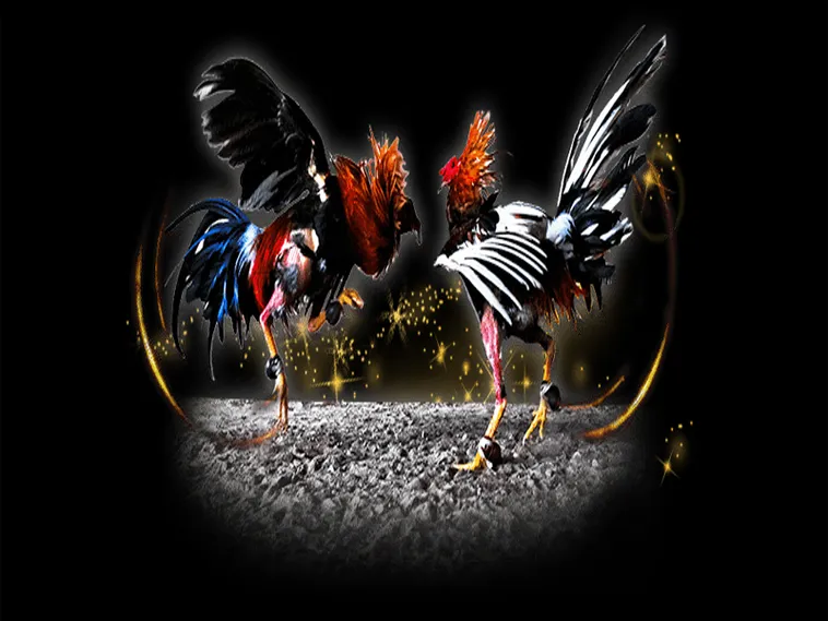 Bật Mí Cách Chơi Đá Gà Sabong Tại Fun88 Thắng Lớn Như Chuyên Gia 2 Bật Mí Cách Chơi Đá Gà Sabong Tại Fun88 Thắng Lớn Như Chuyên Gia